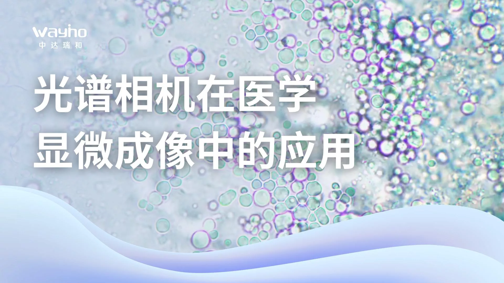 光谱相机在医学显微成像中的应用