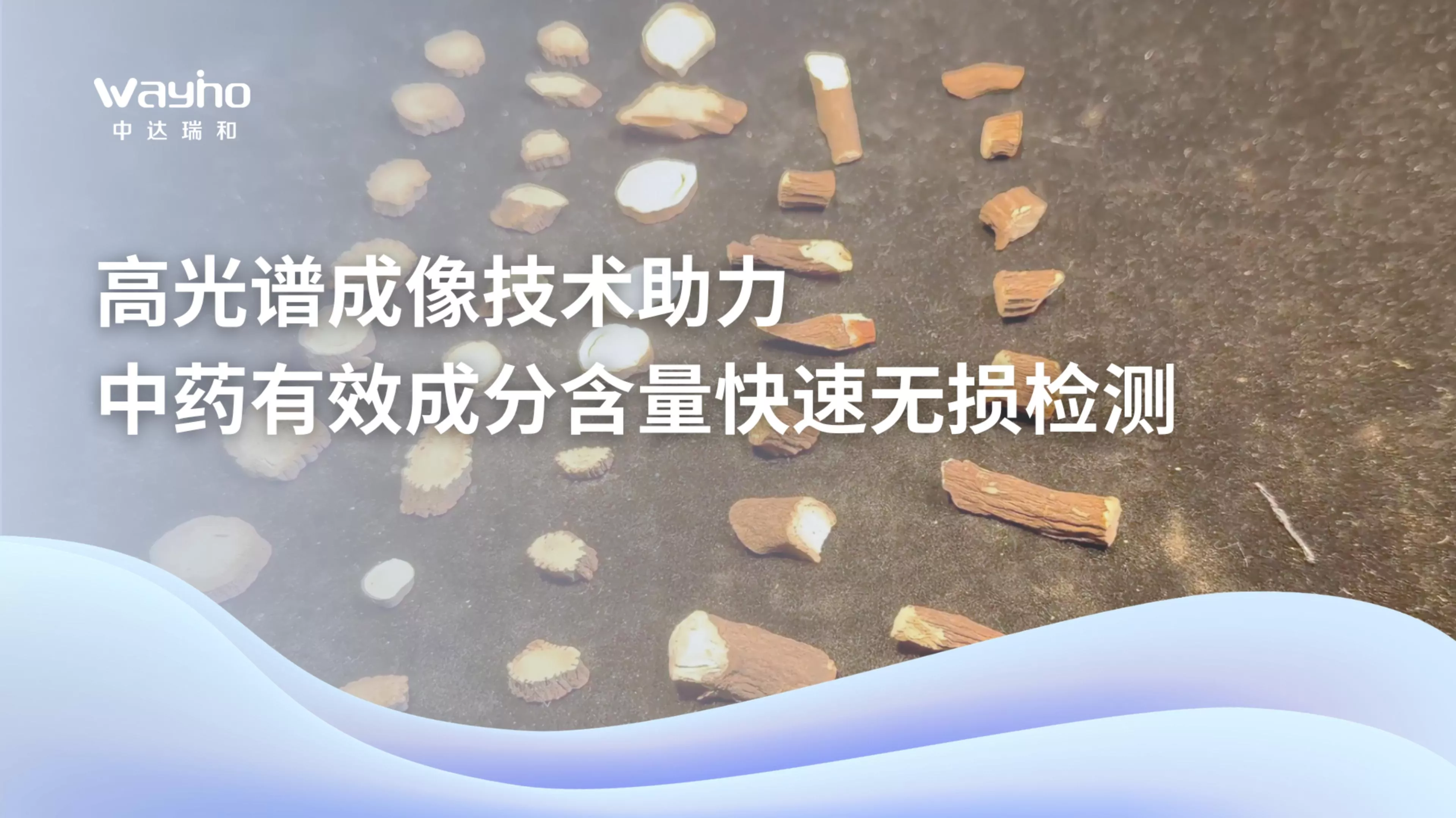 高光谱成像技术助力中药含量鉴别