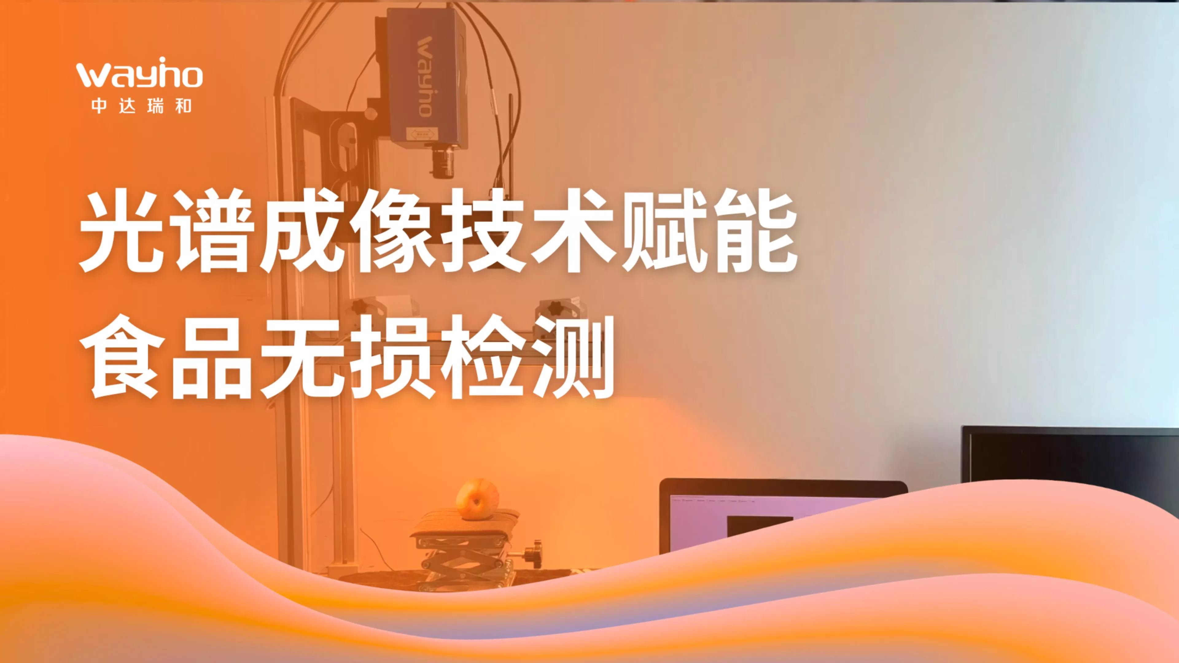 光谱成像技术赋能食品无损检测