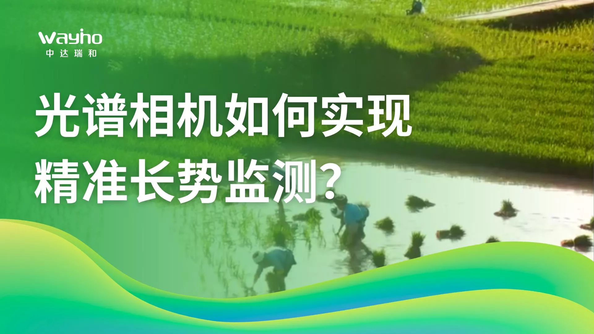 光谱相机如何实现精准长势监测？