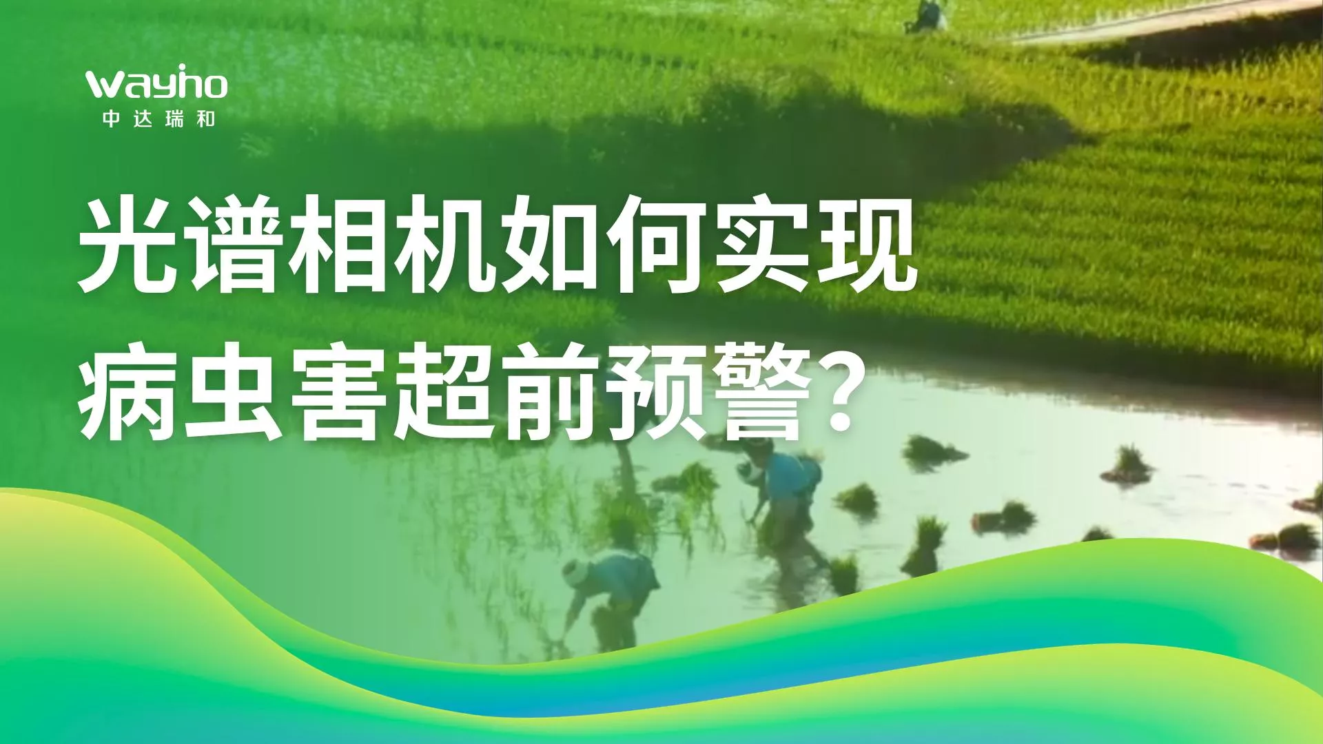 光谱相机如何实现病虫害超前预警？